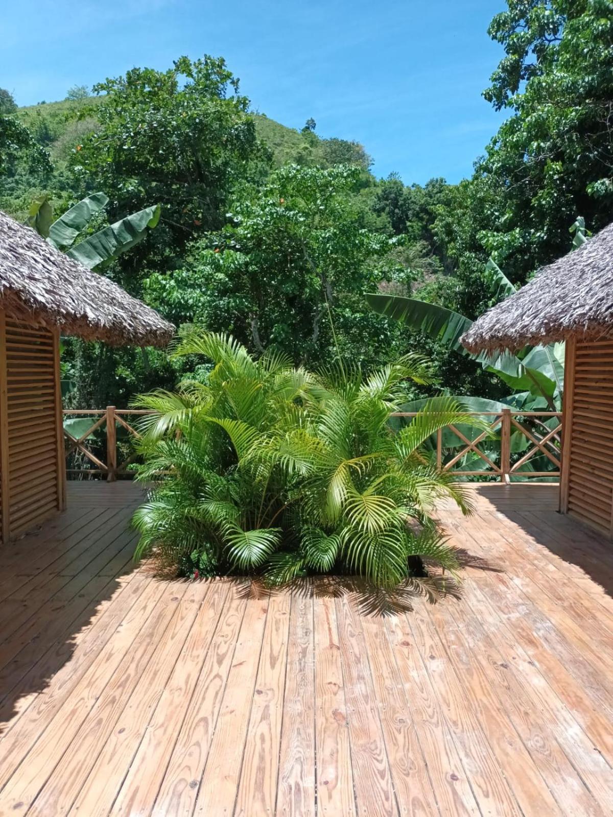 Samo Eco Lodge Las Terrenas Exterior photo